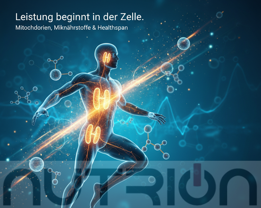 Mitochondrien, Mikronährstoffe und Healthspan: Wie du in deine zelluläre Energie für maximale Leistungsfähigkeit freischaltest